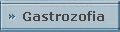 Gastrozofia